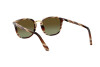 Lunettes de soleil Persol PO 3186S (1116B2)