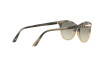 Occhiali da Sole Persol PO 3190S (106532)