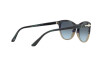 Occhiali da Sole Persol PO 3190S (106786)