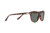 Sonnenbrille Persol PO 3190S (24/31)