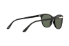 Sunglasses Persol PO 3190S (95/31)