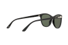 Lunettes de soleil Persol PO 3190S (95/31)