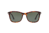 Occhiale da Sole Persol PO 3192S (24/31)