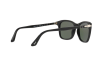 Sunglasses Persol PO 3192S (95/31)