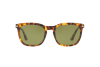 Occhiali da Sole Persol PO 3193S (10524E)