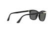 Occhiale da Sole Persol PO 3193S (95/58)