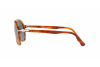 Occhiali da Sole Persol PO 3194S (105256)