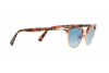 Occhiali da Sole Persol PO 3198S (10693F)