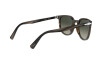 Occhiali da Sole Persol PO 3226S (113571)