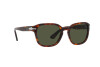 Sunglasses Persol PO 3305S (24/31)