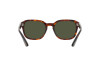 Sunglasses Persol PO 3305S (24/31)