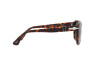 Sunglasses Persol PO 3305S (24/31)