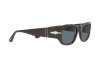 Sunglasses Persol PO 3307S (11743R)