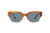 Zonnebril Persol Tom PO 3319S (96/56)