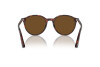 Sunglasses Persol PO 3350S (24/57)