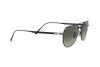 Sunglasses Persol PO 5003ST (800471)