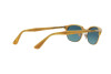 Sunglasses Persol PO 8139S (1046S3)