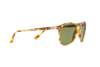 Sunglasses Persol PO 9714S (10614E)