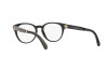 Eyeglasses Polo PH 2164 (5622)