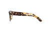 Brille Polo PH 2204 (5633)