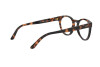 Eyeglasses Polo PH 2215 (5303)