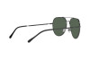 Sunglasses Polo PH 3139 (915771)