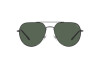 Sunglasses Polo PH 3139 (915771)