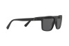 Sunglasses Polo PH 4133 (528487)