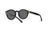 Солнцезащитные очки Polo PH 4149 (500187)