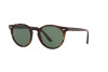Sunglasses Polo PH 4151 (567371)
