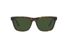 Sunglasses Polo PH 4167 (500371)