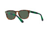 Sonnenbrille Polo PH 4170 (501771)