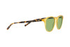 Lunettes de soleil Polo PH 4181 (5005/2)