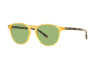 Sunglasses Polo PH 4181 (5005/2)