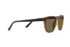 Sunglasses Polo PH 4182U (5003/3)