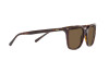 Lunettes de soleil Polo PH 4187 (500373)