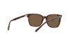 Lunettes de soleil Polo PH 4187 (500373)