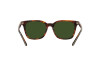 Lunettes de soleil Polo PH 4187 (501771)