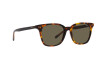 Солнцезащитные очки Polo PH 4187 (5309/3)