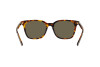 Lunettes de soleil Polo PH 4187 (5309/3)