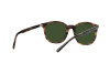 Солнцезащитные очки Polo PH 4188 (501771)