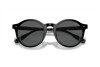 Солнцезащитные очки Polo PH 4204U (500187)