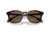 Солнцезащитные очки Polo PH 4206 (500373)
