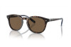 Солнцезащитные очки Polo PH 4206 (500373)