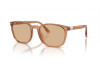 Sunglasses Polo PH 4208U (604873)