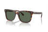 Солнцезащитные очки Polo PH 4210 (613771)