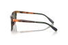 Солнцезащитные очки Polo PH 4205U (608971)