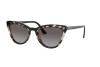 Sunglasses Prada Conceptual PR 01VSF (3980A7)
