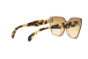 Sunglasses Prada Catwalk PR 16TS (VIR1G0)