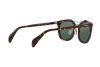 Sunglasses Prada Society PR 17QS (2AU3O1)